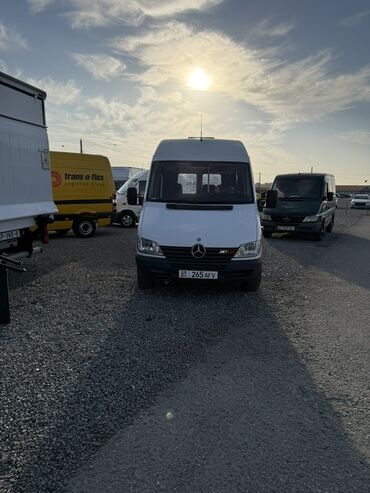 купить авто хендай палисад: Mercedes-Benz Спринтер: 2001 г., 2.9 л