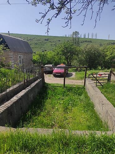 модульный жом: Продаю дачу. В хорошем месте. На огороде есть яблони, малины — 4