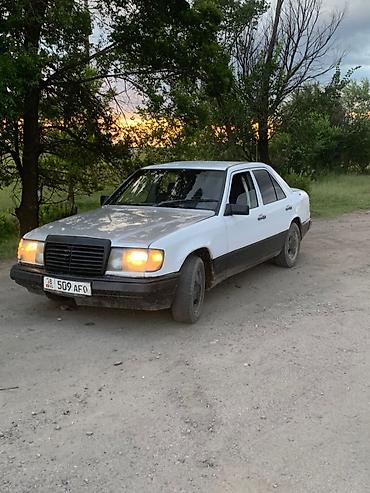 e60 m5: Mercedes-Benz W124: 1989 г., 2 л, Механика, Бензин, Седан — 2