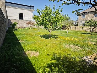 Torpaq: 8 sot, Makler, Kupça (Çıxarış) — 5
