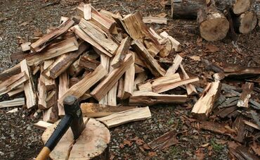 дрова в токмоке: Дрова Тополь, Самовывоз, Бесплатная доставка, Платная доставка