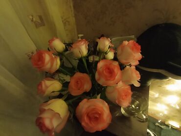 меняю на дом: Времянка дан 1 комната га мага шерик кыз керек чогуу жашаганы