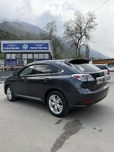 Lexus: Lexus RX: 2011 г., Кроссовер — 5
