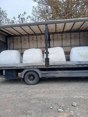 heyvan sahiblənmə: (1.1 - 1.2 ton) Çuğundur silosu heyvanların qidalanması üçün faydalı — 3