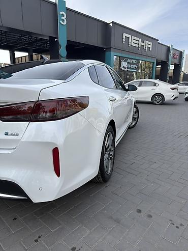 mk 1: Kia K5: 2020 г., 2 л, Автомат, Гибрид, Седан — 5