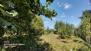 Həyət evləri və villaların satışı: 6 otaqlı, 150 kv. m, Orta təmir — 63