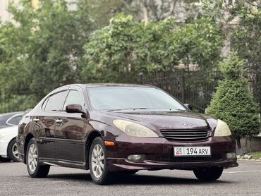 corolla runx: Toyota Windom: 2004 г., 3 л, Автомат, Бензин, Седан