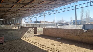 Сельхоз предприятия: Продаю Ферма КРС, 12 соток, Действующий, С оборудованием, Электричество, Скважина, Холодная вода — 9