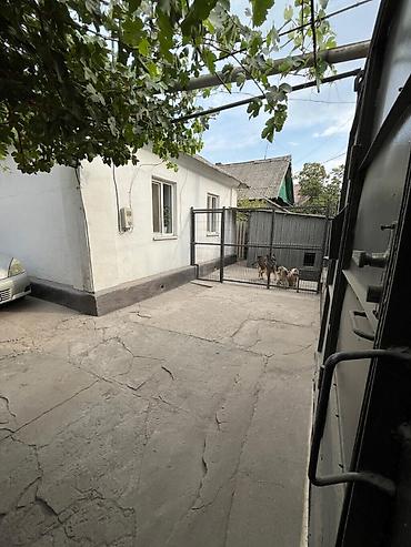 Продажа коттеджей и домов: 🏡 **Продаётся дом в районе Нижняя Ала-Арча 🛏️ 3 комнаты | 📐 Площадь at lalafo.kg — 11 Продажа коттеджей и домов: 🏡 **Продаётся дом в районе Нижняя Ала-Арча 🛏️ 3 комнаты | 📐 Площадь — 11