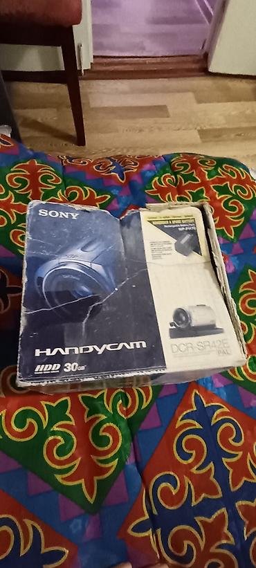 panel: Видеокамера Sony Handycam DCR‑SR42E (PAL) - Формат: PAL - Встроенный — 3