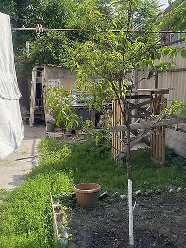 Продажа коттеджей и домов: Продаётся дом с участком. Основные особенности: - Ограждённый двор с — 17