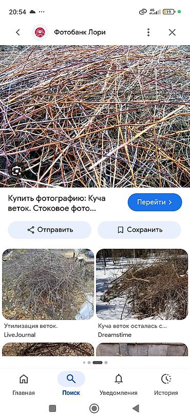 Дрова
