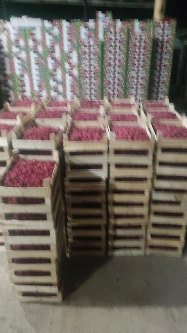 Малина: Малина Платная доставка — 13