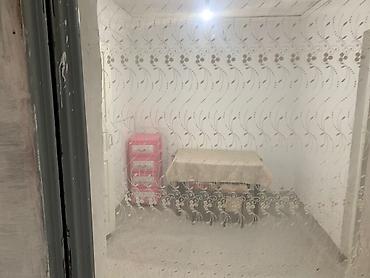 подселение девушка: Срочно сдаю времянку 3 комнаты не более трёх человек цена договорная — 9