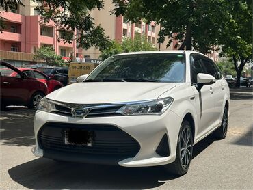 Toyota: Toyota Corolla: 1.5 l | 2019 il Sedan