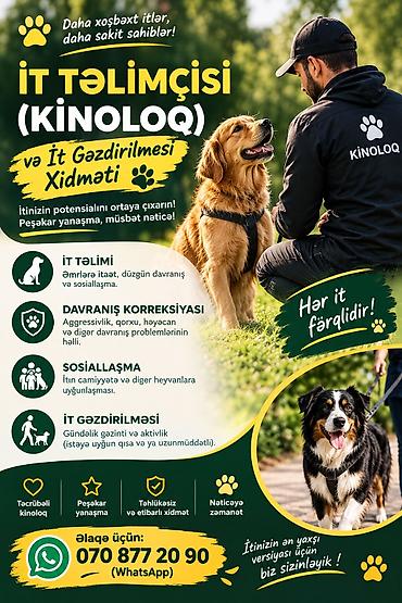 it sort: Xidmət: İt təlimçisi (kinoloq) və İt gəzdirilməsi Təsvir: - İt — 1