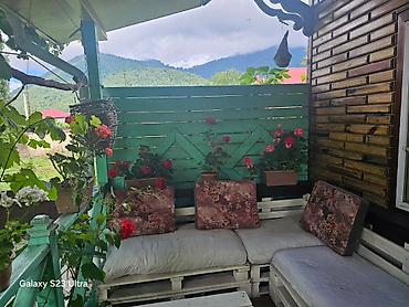 taxda evlər: 🌿 Qəbələdə Günlük Kirayə Bağ evi Etrafli melumat ucun Dm. Endirim — 2