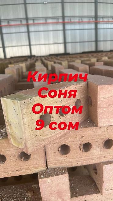 Строительный кирпич: Кирпич «Соня» — оптом - Формат: пустотелый, с круглыми сквозными — 1