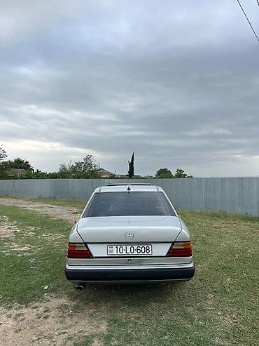 Mercedes-Benz: Mercedes-Benz W124: 2 l | 1991 il Sedan — 14