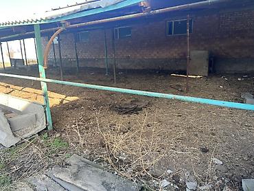 Продажа сельхоз предприятий: Сельскохозяйственные корпуса/сараи под фермерство Описание: - — 10