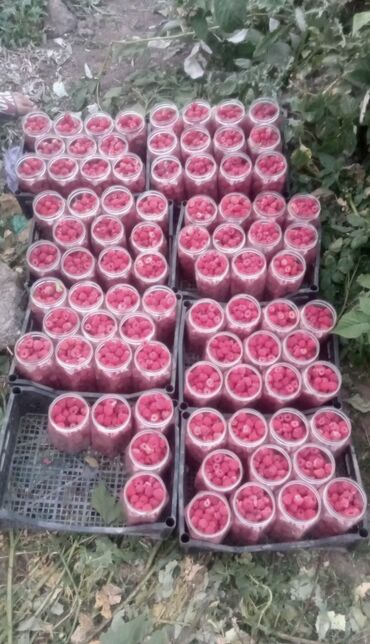 сафлор цена бишкек: Сочная, свежая малина – прямо с грядки! 🍓 Продаю ароматную и сладкую