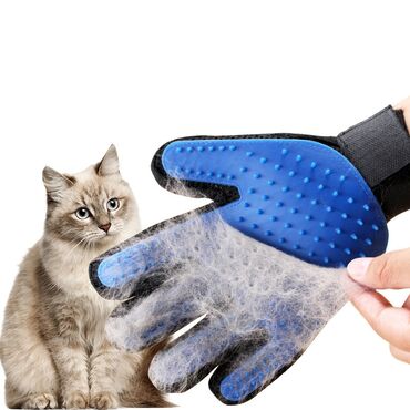 переноски для кошек: Перчатки для кошек