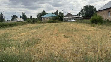 я ищу дом рабочий городок: 12 соток, Для бизнеса, Красная книга