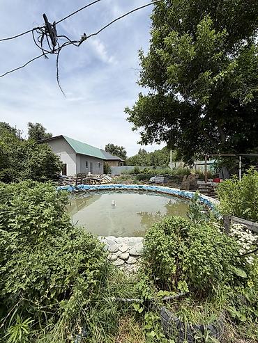 🌳🏡 ПРОДАЁТСЯ УЧАСТОК В ОДНОМ ИЗ САМЫХ ЖИВОПИСНЫХ УГОЛКОВ БИШКЕКА! 📍