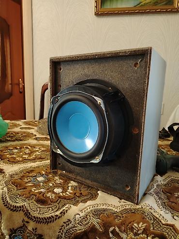 Dinamiklər və sabvuferlər: Panasonic SB-WAK520 subwoofer - Model: SB-WAK520 (etiketdə — 5