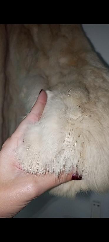 Krzneni kaputi: Bunda KOPENHAGEN by Andersen original . Krzno zec i kragna rakun - — 8