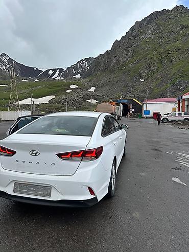 sonata: Hyundai Sonata: 2023 г., 2 л, Автомат, Газ, Седан — 3