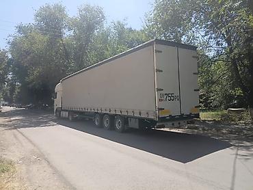 vip razbor: Тягач, DAF, 2019 г., Тентованный — 10
