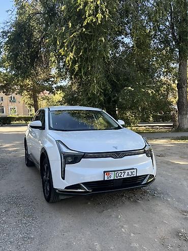 lexsus es: BYD : 2023 г., Автомат, Электромобиль, Кроссовер — 1