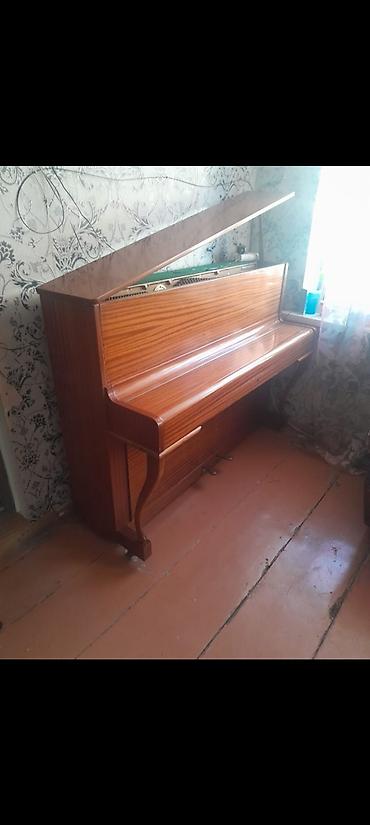 boya by m1: Piano, Zimmermann, Akustik, İşlənmiş, Ödənişli çatdırılma — 3