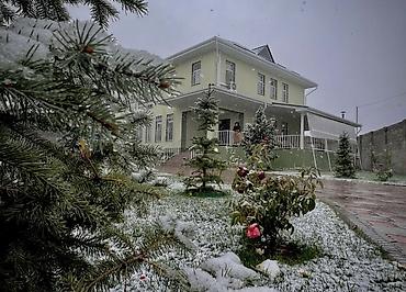 трёхэтажный дом: 450 м², 6 комнат и более — 3