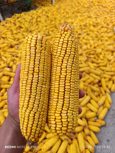 продам мебель б: Жүгөрү Дүңүнөн, Өзү алып кетүү