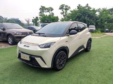byd под выкуп: BYD : 2023 г., 0.1 л, Автомат, Электромобиль, Внедорожник