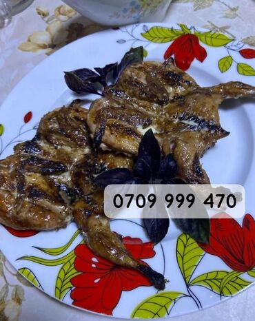 голуби животные: Продаю молодняк перепела петушки! Возраст 55 дня! Можно на мясо или