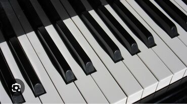 kurs: Yüksək ixtisaslı, peşəkar musiqiçi-pedaqoq şagirdin evində piano və