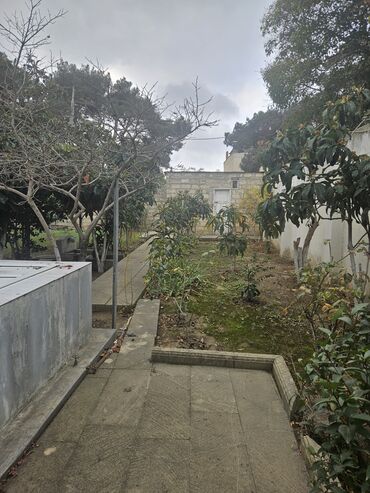 Uzunmüddətli kirayə mənzillər: Geniş planlı mənzil – klassik üslubda, hündür tavanlı və işıqlı — 15