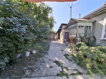 участок вдоль реки: 9 соток