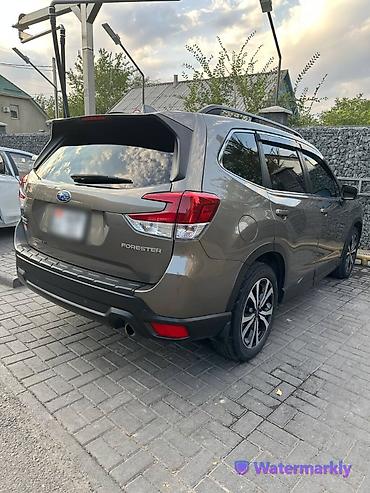 forest: Subaru Forester: 2020 г., 2.5 л, Вариатор, Бензин, Кроссовер — 5