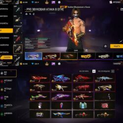 отдам даром вислоухого котенка: Другие животные