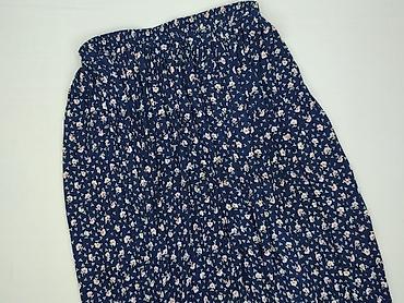 plisowane spódnice plus size: Talbots, Spódnica damska, rozmiar XL — 1