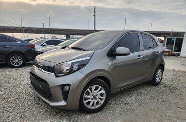 kia morning 2019: Kia Morning: 2019 г., 1 л, Автомат, Бензин