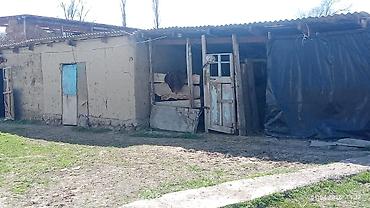 Продажа коттеджей и домов: Үй сатылат. баасы 26500$ болот. Үйдүн аянты 10 дон13 чейин соток жер — 18