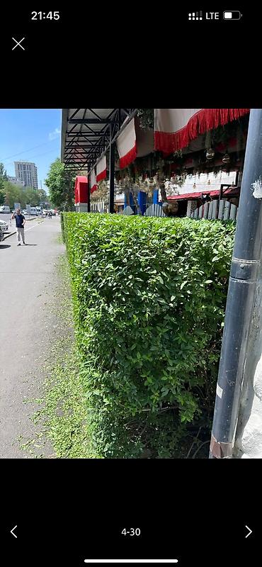 Дворники, садовники: 🌱Я Садовник Стрижка Живой изгородь,самшит,Туи,хвойные растения, Я — 4