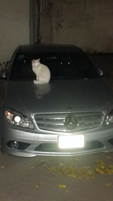 mersedes s klass: Mercedes-Benz C 250: 2.5 l | 2007 il Sedan
