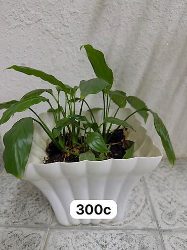 Спецодежда: Бул товарлар сатылат арзан баада жакшы качестводогу кийимдер at lalafo.kg — 21 Спецодежда: Бул товарлар сатылат арзан баада жакшы качестводогу кийимдер — 21