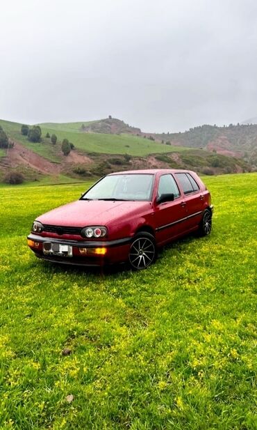 Volkswagen: Volkswagen Golf: 1992 г., 1.8 л, Механика, Бензин, Хэтчбэк